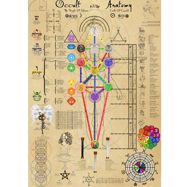 Occult Anatomy